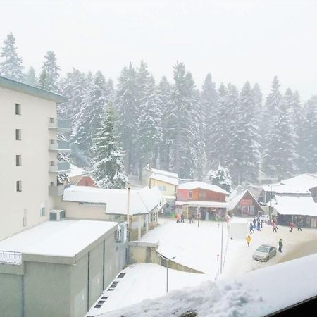 Studio Chamkoriya Μπόροβετς Εξωτερικό φωτογραφία